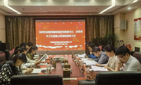 株洲國投集團黨委副書(shū)記、總經(jīng)理許大為一行赴子公司調研